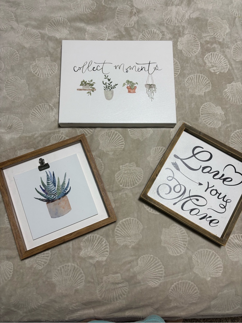 Hobby Lobby Collect Moments Botanical Framed Prints Set